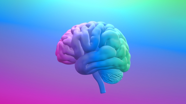 32280301_s.jpg